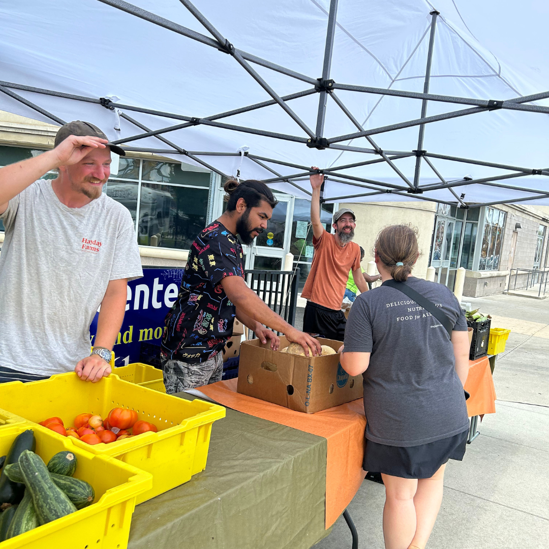 Guests choose fresh produce under tents