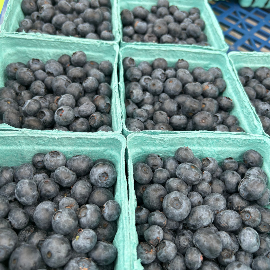 Boxes of fresh blueberries